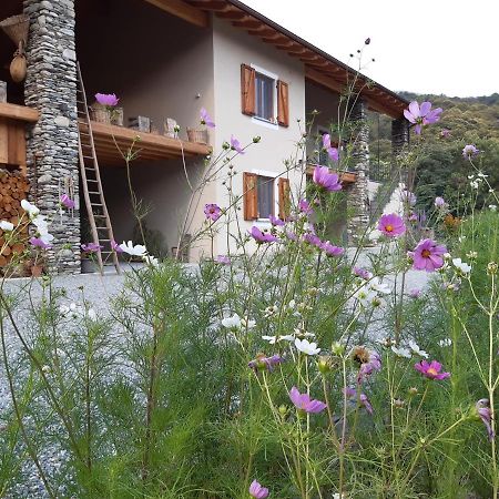 PaesanaSemi Al Vento: La Bio-Casa Nel Giardino Incantato!アパートメント エクステリア 写真