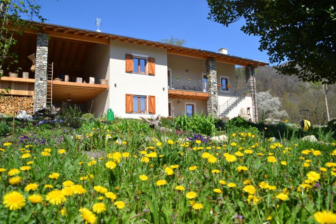 PaesanaSemi Al Vento: La Bio-Casa Nel Giardino Incantato!アパートメント エクステリア 写真