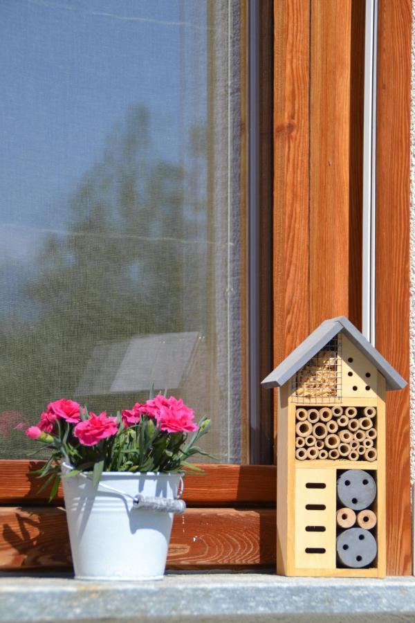 PaesanaSemi Al Vento: La Bio-Casa Nel Giardino Incantato!アパートメント エクステリア 写真