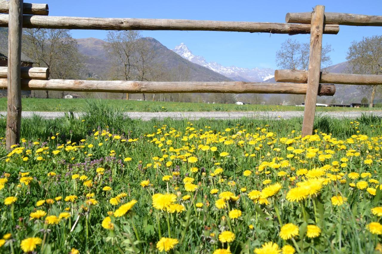 PaesanaSemi Al Vento: La Bio-Casa Nel Giardino Incantato!アパートメント エクステリア 写真