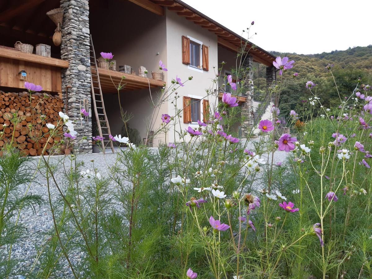 PaesanaSemi Al Vento: La Bio-Casa Nel Giardino Incantato!アパートメント エクステリア 写真