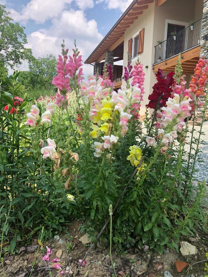 PaesanaSemi Al Vento: La Bio-Casa Nel Giardino Incantato!アパートメント エクステリア 写真