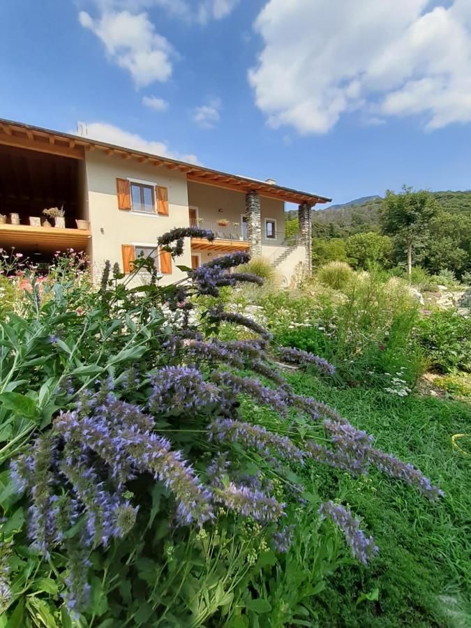 PaesanaSemi Al Vento: La Bio-Casa Nel Giardino Incantato!アパートメント エクステリア 写真