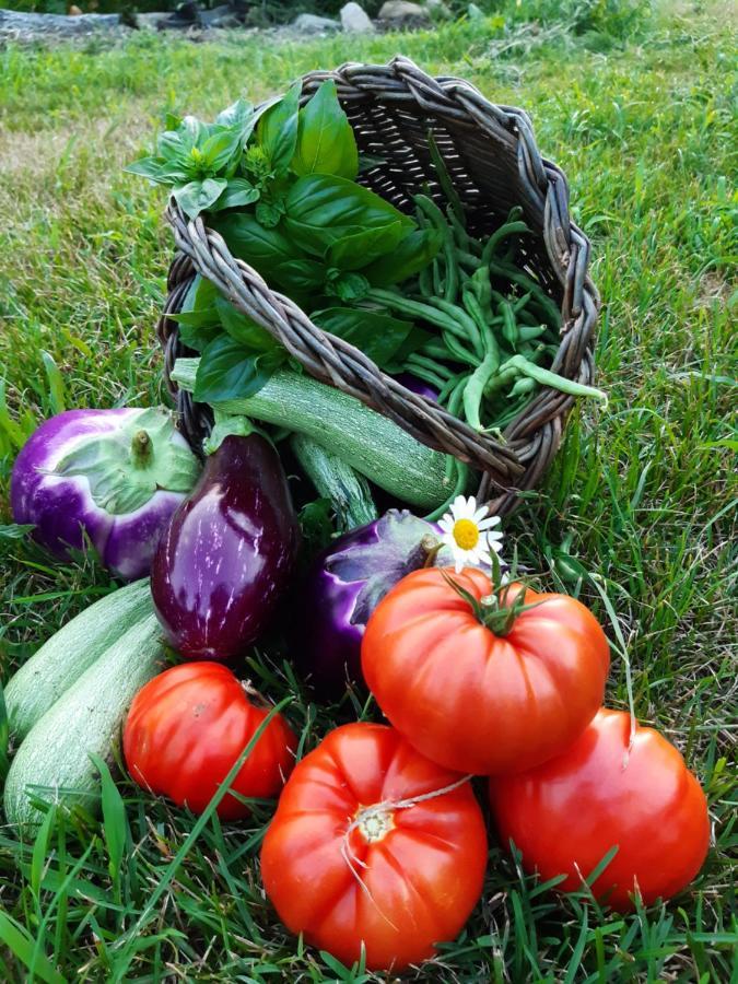 PaesanaSemi Al Vento: La Bio-Casa Nel Giardino Incantato!アパートメント エクステリア 写真