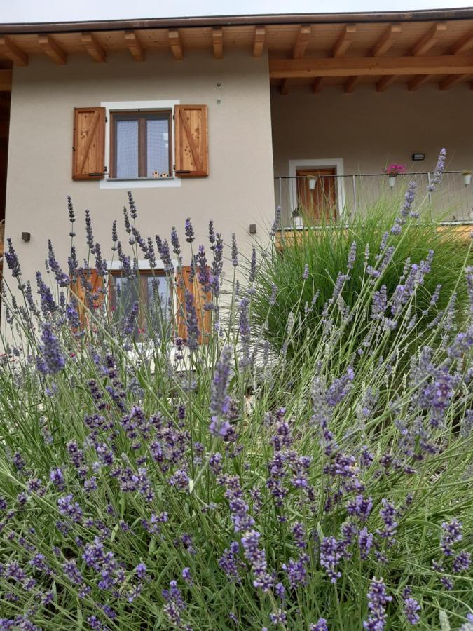 PaesanaSemi Al Vento: La Bio-Casa Nel Giardino Incantato!アパートメント エクステリア 写真