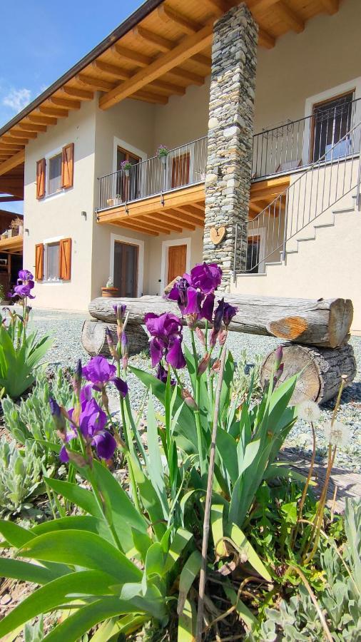 PaesanaSemi Al Vento: La Bio-Casa Nel Giardino Incantato!アパートメント エクステリア 写真